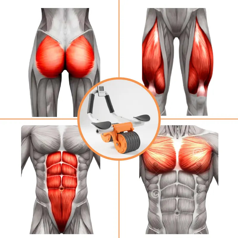 RUEDA ABDOMINAL | Define tu core y transforma tu entrenamiento 💪🏽
